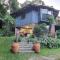 Treeverb Beach House - Daintree
