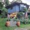 Treeverb Beach House - Daintree