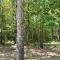 Bent Tree Cabin, on Private 12.5 Acres + Hot Tub - بروكن بو
