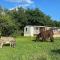 Camping de la ferme aux ânesses, mobil home myrtille