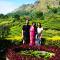 Blackcherry Munnar