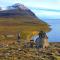 Fálki cottages - Þórshöfn