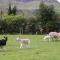 GlenHaven Holiday Accommodation