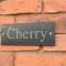 Cherry Studio