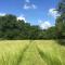 Le Gite du Petit Renard: A Tranquil Gite with pool - Oradour-Saint-Genest