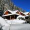 Chalet Caprea - 巴德小基希海姆