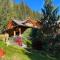 Chalet Caprea - 巴德小基希海姆