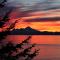 Lost Anchor Cabins - Ocean-view cabins on the bluff - Anchor Point