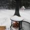Quiet place in the heart of Laurentides - Sainte-Lucie-de-Doncaster