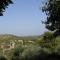 Villa Ambra - Noto Siracusa between Olive Trees