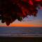 Ozone Beach House