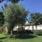 Beautiful trulli house in Puglia