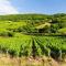 Le Chardonnay - Locationtournus - 图尔尼