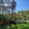 Domek w lesie na Mazurach - Orzyny