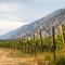 Similkameen Wild Resort & Winery Retreat - Cawston