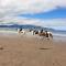 Castlegregory-Seaside 2 Bedroomed Cottage