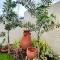 Seafront OnCall - private jacuzzi with 4 cozy bedrooms