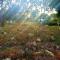 Sondela Self Catering