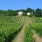 Villa Verdicchio - B&B for winelovers