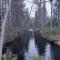 Kangasjoki Riverside Camp