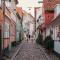 Amazing apartment in the center of Helsingør - Helsingør