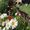 Central Worthing Holiday Home, 3 bedrooms, 600m from beach