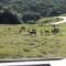Umthi Lodge, Wildlife, Pool, Power Inverter - Kenton on Sea