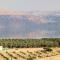 Charming unit in Dead Sea