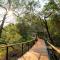 Thornybush Game Lodge - Thornybush Game Reserve