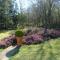 White Lodge B&B