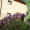 B&B Il Vigneto