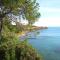FERGUS Cap Roig