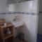 The Shed