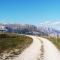 Desy miniapp Full a 2km da Pedavena