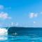 Niyama Private Islands Maldives - 25 percent off on Seaplane for minimum stay of 7 nights and more for stays from 5 May to 20 October 2025 - Dhaalu Atoll