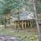 Mushroom Yurt - Aberystwyth