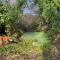 Dog friendly cottage with woodland & lake - Helston