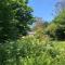 Dog friendly cottage with woodland & lake - Helston