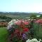 Baywaterviews