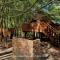 Plett Forest Cabins