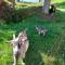 Urlaub an der Grenze