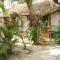 Alleppey Beach Garden