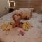Guesthouse Pumpalovi