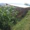 Mountain View Eco Farm