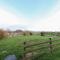 Ynys