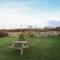 Ynys