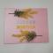 Parfum mimosa