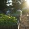 LUXURY - VISTA HOUSE above the clouds! - San Luis Obispo