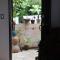 Casa Del Arte - rooms with private and shared bathrooms