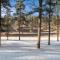 Elk Ridge Fire Place Custer